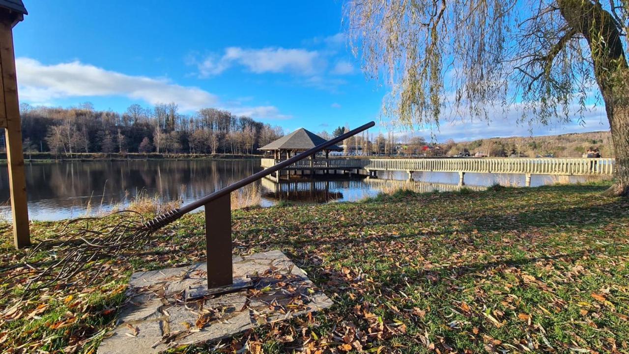Le Salmoyard, Studio Au Bord Du Lac A ヴィエルサルム エクステリア 写真